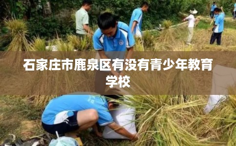 石家庄市鹿泉区有没有青少年教育学校 石家庄市鹿泉区有没有青少年教育学校