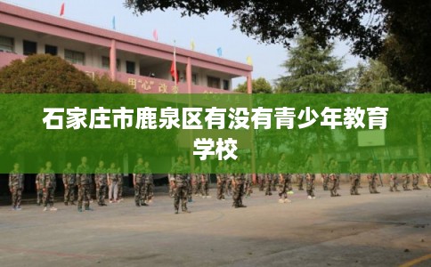石家庄市鹿泉区有没有青少年教育学校 石家庄市鹿泉区有没有青少年教育学校