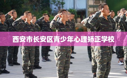 西安市长安区青少年心理矫正学校 西安市长安区青少年心理矫正学校