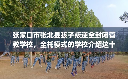 张家口市张北县孩子叛逆全封闭管教学校,全托模式的学校介绍这十家! 张家口市张北县孩子叛逆全封闭管教学校,全托模式的学校介绍这十家!