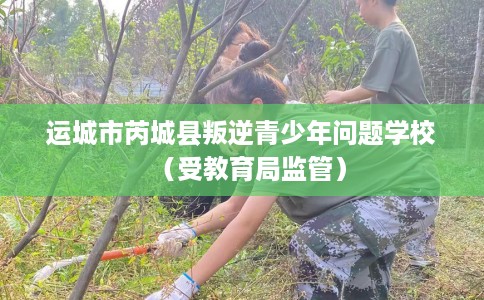运城市芮城县叛逆青少年问题学校（受教育局监管）