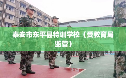 泰安市东平县特训学校(受教育局监管) 泰安市东平县特训学校(受教育局监管)