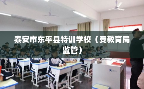 泰安市东平县特训学校（受教育局监管）