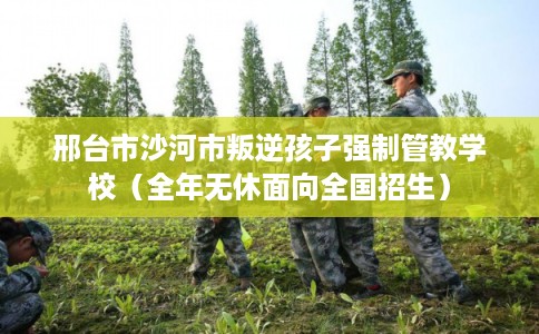 邢台市沙河市叛逆孩子强制管教学校（全年无休面向全国招生）