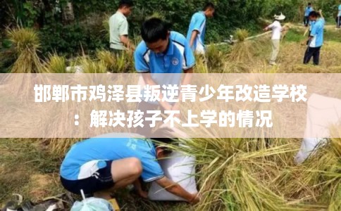 邯郸市鸡泽县叛逆青少年改造学校：解决孩子不上学的情况