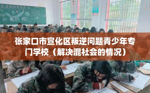 张家口市宣化区叛逆问题青少年专门学校（解决混社会的情况）