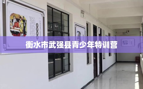 衡水市武强县青少年特训营 衡水市武强县青少年特训营