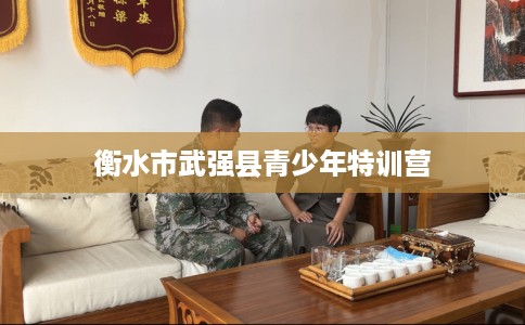 衡水市武强县青少年特训营 衡水市武强县青少年特训营