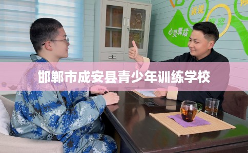 邯郸市成安县青少年训练学校 邯郸市成安县青少年训练学校