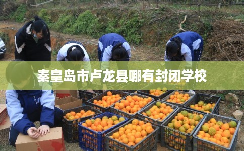 秦皇岛市卢龙县哪有封闭学校