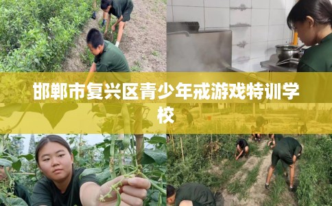 邯郸市复兴区青少年戒游戏特训学校 邯郸市复兴区青少年戒游戏特训学校