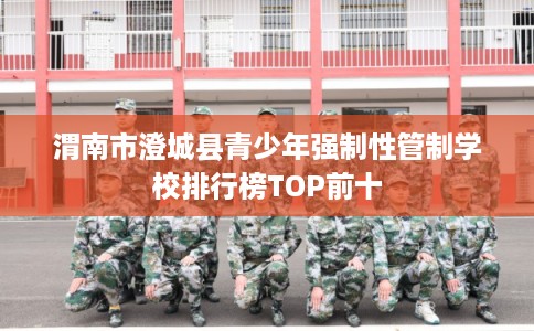 渭南市澄城县青少年强制性管制学校排行榜TOP前十