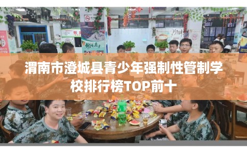 渭南市澄城县青少年强制性管制学校排行榜TOP前十