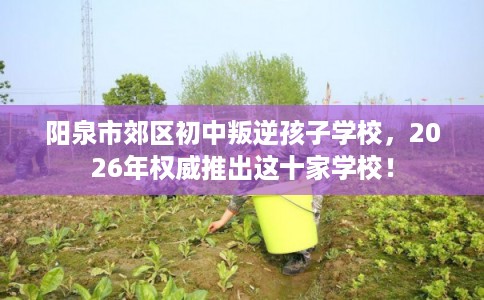 阳泉市郊区初中叛逆孩子学校,2026年权威推出这十家学校! 阳泉市郊区初中叛逆孩子学校,2026年权威推出这十家学校!