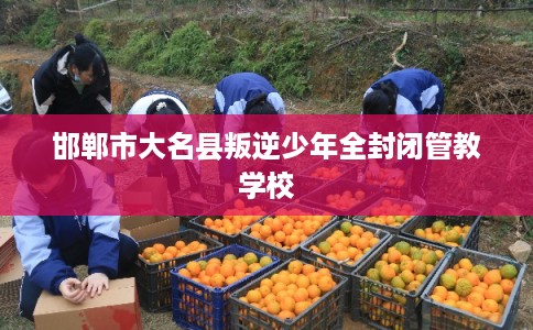 邯郸市大名县叛逆少年全封闭管教学校 邯郸市大名县叛逆少年全封闭管教学校