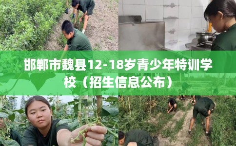 邯郸市魏县12-18岁青少年特训学校（招生信息公布）