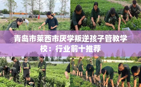 青岛市莱西市厌学叛逆孩子管教学校：行业前十推荐
