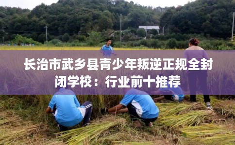 长治市武乡县青少年叛逆正规全封闭学校：行业前十推荐