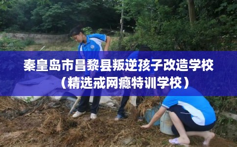 秦皇岛市昌黎县叛逆孩子改造学校(精选戒网瘾特训学校) 秦皇岛市昌黎县叛逆孩子改造学校(精选戒网瘾特训学校)