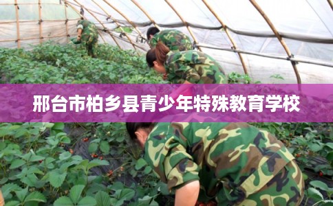 邢台市柏乡县青少年特殊教育学校