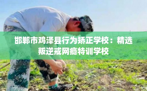 邯郸市鸡泽县行为矫正学校:精选叛逆戒网瘾特训学校 邯郸市鸡泽县行为矫正学校:精选叛逆戒网瘾特训学校