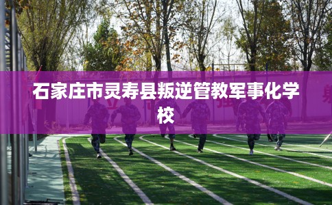 石家庄市灵寿县叛逆管教军事化学校 石家庄市灵寿县叛逆管教军事化学校