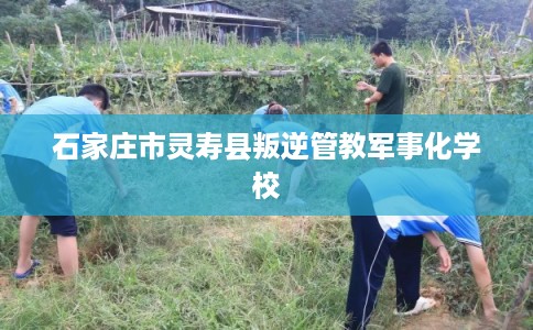 石家庄市灵寿县叛逆管教军事化学校 石家庄市灵寿县叛逆管教军事化学校