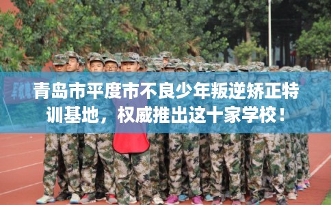 青岛市平度市不良少年叛逆矫正特训基地,权威推出这十家学校! 青岛市平度市不良少年叛逆矫正特训基地,权威推出这十家学校!