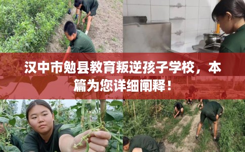 汉中市勉县教育叛逆孩子学校,本篇为您详细阐释! 汉中市勉县教育叛逆孩子学校,本篇为您详细阐释!