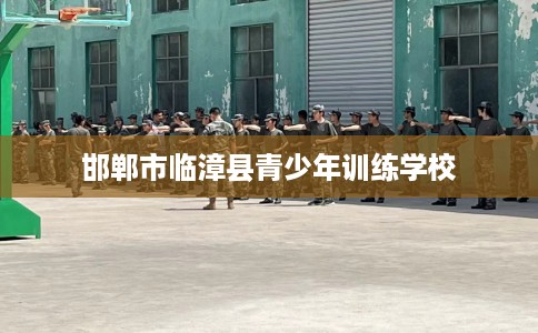 邯郸市临漳县青少年训练学校 邯郸市临漳县青少年训练学校