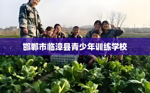 邯郸市临漳县青少年训练学校