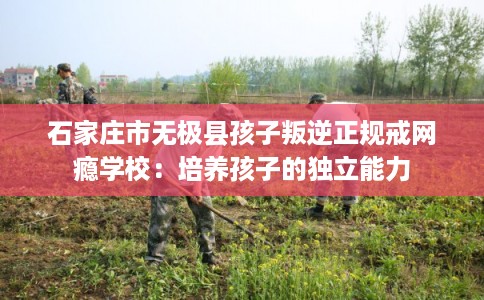 石家庄市无极县孩子叛逆正规戒网瘾学校：培养孩子的独立能力