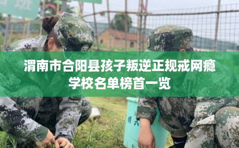 渭南市合阳县孩子叛逆正规戒网瘾学校名单榜首一览 渭南市合阳县孩子叛逆正规戒网瘾学校名单榜首一览