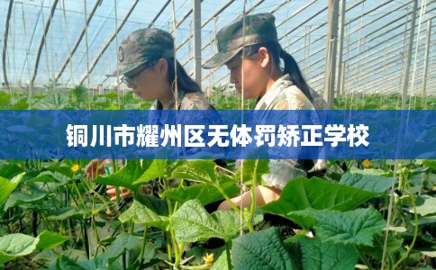铜川市耀州区无体罚矫正学校