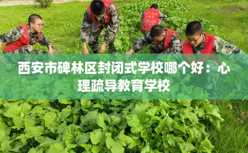 西安市碑林区封闭式学校哪个好：心理疏导教育学校