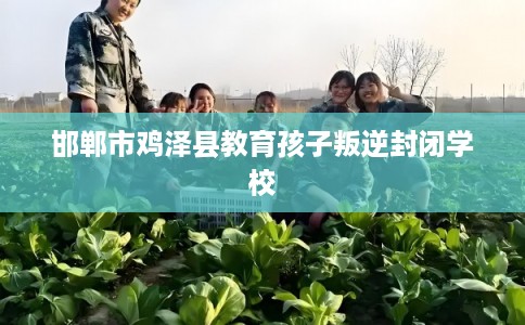 邯郸市鸡泽县教育孩子叛逆封闭学校