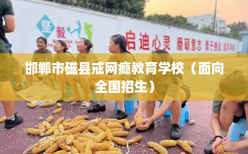 邯郸市磁县戒网瘾教育学校（面向全国招生）