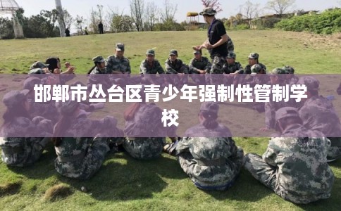 邯郸市丛台区青少年强制性管制学校