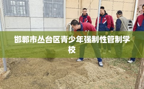邯郸市丛台区青少年强制性管制学校