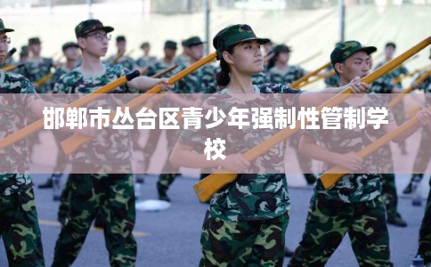 邯郸市丛台区青少年强制性管制学校