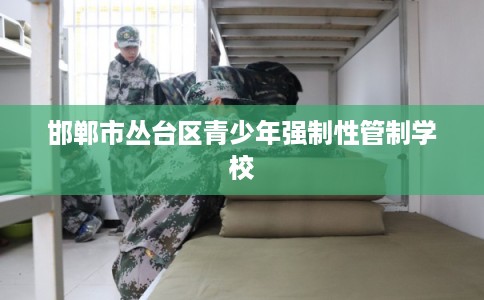 邯郸市丛台区青少年强制性管制学校