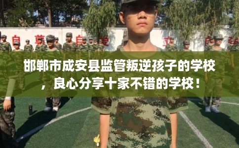 邯郸市成安县监管叛逆孩子的学校，良心分享十家不错的学校！