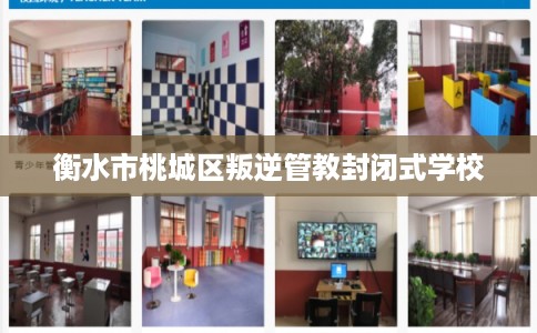 衡水市桃城区叛逆管教封闭式学校