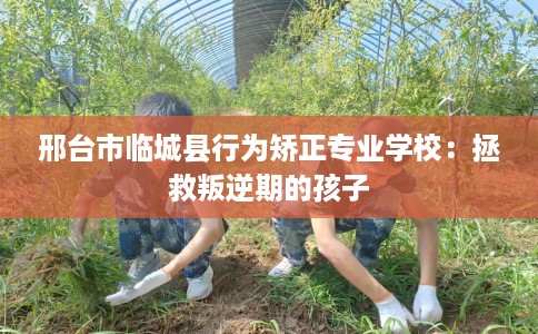 邢台市临城县行为矫正专业学校：拯救叛逆期的孩子