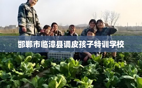 邯郸市临漳县调皮孩子特训学校