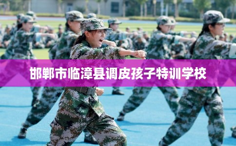 邯郸市临漳县调皮孩子特训学校