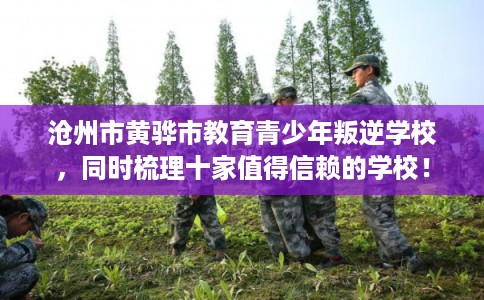 沧州市黄骅市教育青少年叛逆学校,同时梳理十家值得信赖的学校! 沧州市黄骅市教育青少年叛逆学校,同时梳理十家值得信赖的学校!