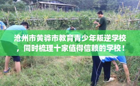 沧州市黄骅市教育青少年叛逆学校，同时梳理十家值得信赖的学校！