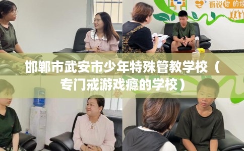 邯郸市武安市少年特殊管教学校(专门戒游戏瘾的学校) 邯郸市武安市少年特殊管教学校(专门戒游戏瘾的学校)