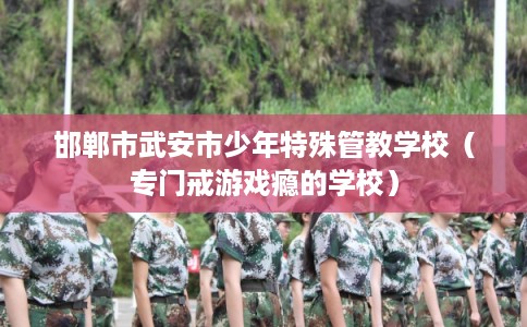 邯郸市武安市少年特殊管教学校(专门戒游戏瘾的学校) 邯郸市武安市少年特殊管教学校(专门戒游戏瘾的学校)